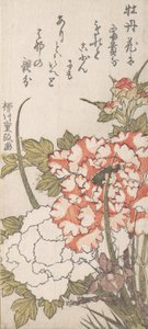 Pfingstrosen und Iris, 18.-19. Jahrhundert von Yanagawa Shigemasa