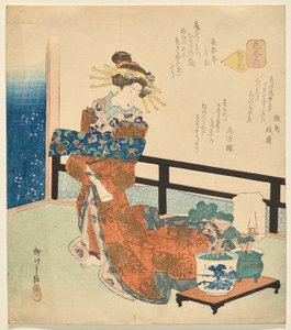 Nummer Sechs: Blumen der Hauptstadt, aus der Serie Blumen von Yanagawa Shigenobu II