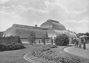 Das Große Palmenhaus, Kew Gardens, ca. 1896
