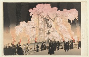 Kirschblüte abends im Maruyama-Park