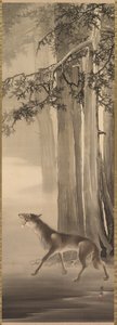 Heulender Wolf in einem tiefen Bergtal