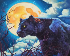 Nachtwächter schwarzer Panther, 2023
