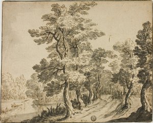 Straße durch Laubbäume in der Nähe eines Baches