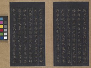 Sutra des ewigen Lebens (Wu Liang Shou Jing) 1837