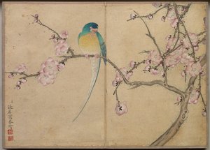 Schreibtischalbum: Blumen- und Vogelmalereien (Vogel mit Pflaumenblüten)