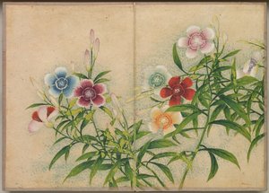 Schreibtischalbum: Blumen- und Vogelmalereien (Nelken) von Zhang Ruoai