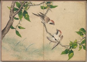 Schreibtischalbum: Blumen- und Vogelmalereien Tratschende Spatzen, 18. Jahrhundert