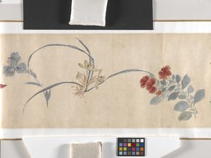 Farbige Blumen