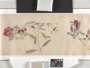 Bunte Blumen von Zhimian Zhou