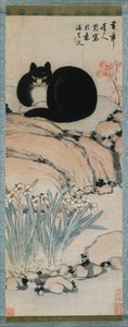 Schwarze Katze und Narzisse, 19. Jahrhundert von Zhu Ling