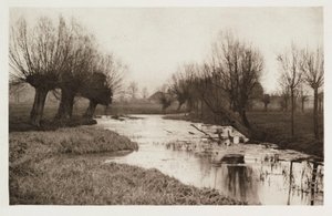 Ein Seitenarm der Lea (eaux stagnantes de la rivière Lea)