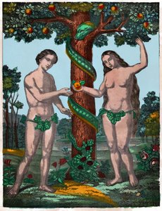 Adam und Eva, ca. 1880 (Stich)