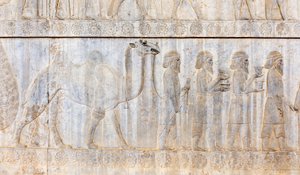 Antikes Relief der Achämeniden; Delegation der Parther mit Kamel; Apadana-Palast; archäologische Stätte; antike persische Stadt Persepolis; UNESCO-Weltkulturerbe; Provinz Fars; Iran; Asien