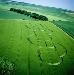 Kornkreis im Gerstenfeld, Beckhampton, Wiltshire, 5. Juni 2005 (Luftaufnahme) von Ferdinand Georg Waldmuller