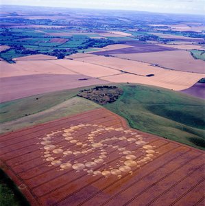 Kornkreis im Weizenfeld, Milk Hill, Alton Priors, Vale of Pewsey, Wiltshire