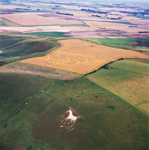 Kornkreis im Weizenfeld, Milk Hill, Alton Priors, Vale of Pewsey, Wiltshire von Ferdinand Georg Waldmuller