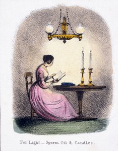 Für Licht, Spermöl und Kerzen, um 1845 von Frederick (attr. to) Barnard