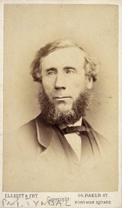 John Tyndall, irischer Physiker, um 1875 von Frederick (attr. to) Barnard