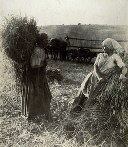 Die Schnitterinnen, um 1900