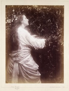 Mary Hillier, ca. 1865 von John Pardon