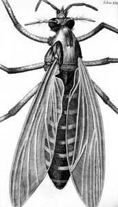 Mikroskopie
