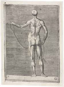 Muskeln Anatomische Studie der männlichen Muskulatur; Mann hält ein Seil, ca. 1555 von Frederick (attr. to) Barnard