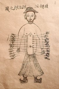 Museum für traditionelle vietnamesische Medizin, Die Kanäle und Gefäße, Buch der Akupunktur, Ho-Chi-Minh-Stadt, Vietnam