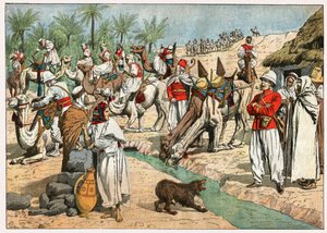 Oase in der Sahara
