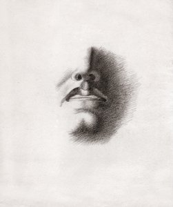 Studie für das Gesicht eines Mannes: Mund und Nase, um 1830 (Zeichnung)