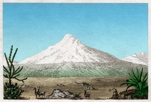 Der Chimborazo-Vulkan vom Plateau von Tapia, Ecuador (Gravur) von . .