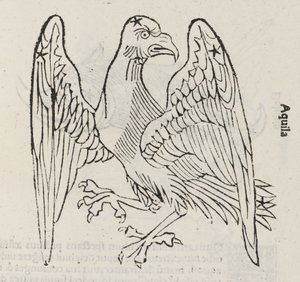 Das Sternbild des Adlers