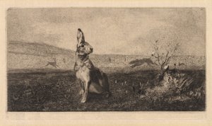 Der Hase (Le Lièvre) von after Albert de Balleroy