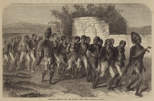 Ägyptische Rekruten für die türkische Armee von after Denis Auguste Marie Raffet