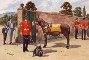 Das Haustier-Maultier und der Affe des Middlesex Regiments