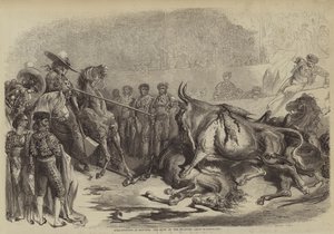 Stierkampf in Bayonne, der Schlag des Picadors