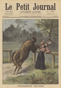 Eine Frau von einem Pferd getreten