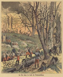 Feuer im Wald von Fontainebleau