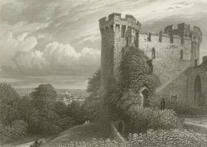 Stafford, vom Schloss aus von Henry after Warren