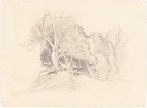 Landschaft mit Bäumen