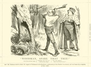 Holzfäller, verschone diesen Baum! von after John Tenniel