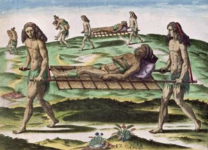 Hermaphroditen transportieren die Verletzten, aus 