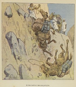 Maultiere stürzen in eine Schlucht