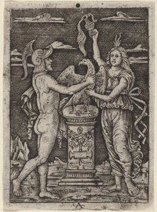 Weihe eines Adlers von after Peregrino da Cesena