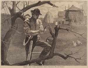 Frühjahrsarbeit auf dem Bauernhof - Pfropfen von after Winslow Homer