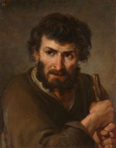 Studie eines Schäfers