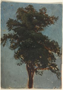 Baumstudie von attributed to Alexandre Calame