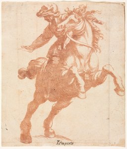 Steigendes Pferd und Reiter
