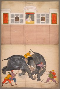 Zwei Elefanten kämpfen in einem Hof vor Muhammad Shah von attributed to Nainsukh
