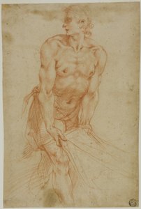 Mann, der an einem Laken zieht: Studie für die Grablegung (Sakristei der Certosa di San Martino, Neapel, 1596)