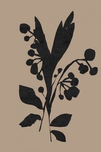 Dunkle botanische Silhouette